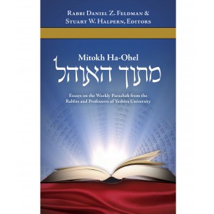 Mitokh Ha-Ohel: Essays on the Parsha from YU – Rabbi Daniel Feldman (Hardcover) Intérieur Juif
