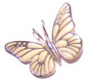 Broche Papillon - Couleur Crème